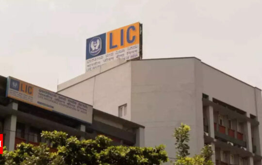 LIC embedded value goes up despite losses in equity - Times of India