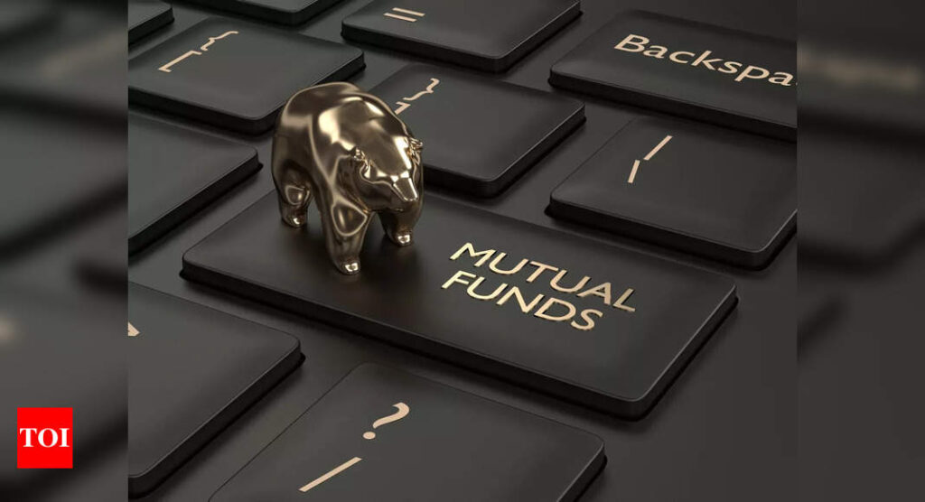 Mutual fund investors keep faith despite crash - Times of India