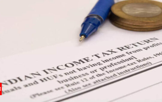 No plan to extend deadline for filing income tax returns: Revenue secretary - Times of India