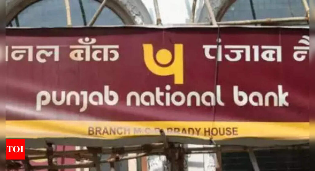 PNB aims to recover Rs 32,000 crore from bad loans resolution this fiscal - Times of India