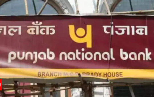 PNB aims to recover Rs 32,000 crore from bad loans resolution this fiscal - Times of India