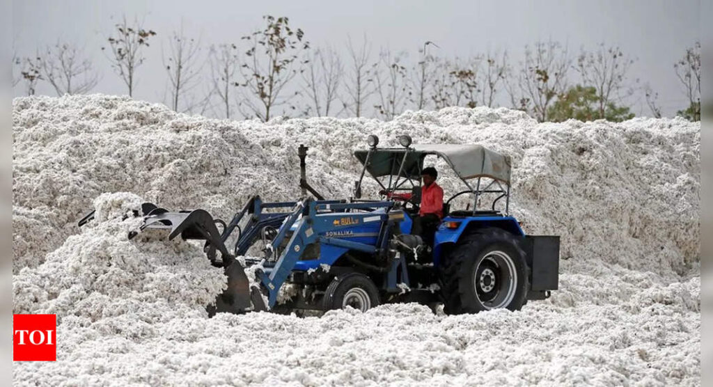 Planting of summer crops ramps up in India as monsoon revives - Times of India