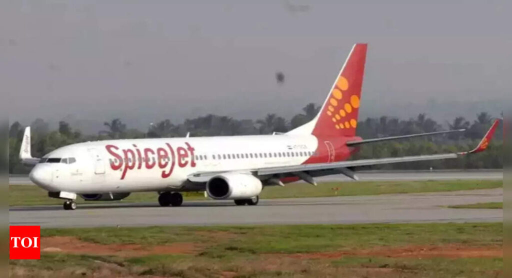 SpiceJet Mumbai-Kandla flight safely aborts takeoff on runway - Times of India