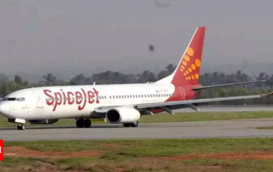 SpiceJet Mumbai-Kandla flight safely aborts takeoff on runway - Times of India