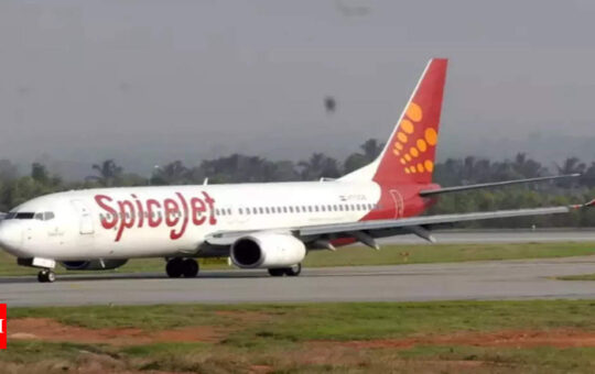 SpiceJet aircraft has nose wheel snag in Dubai; flies back after repairs - Times of India