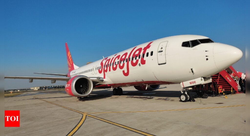 Spicejet Emergency Landing: SpiceJet Delhi-Dubai flight lands in Karachi following snag | India Business News - Times of India