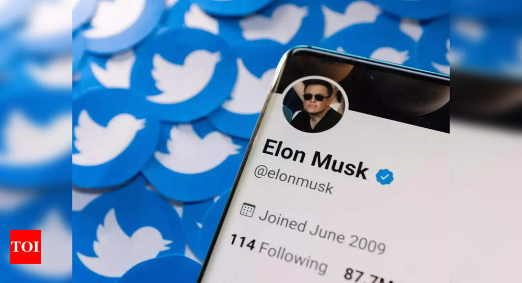 Twitter stock sinks as Musk mocks lawsuit threat - Times of India