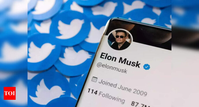 Twitter stock sinks as Musk mocks lawsuit threat - Times of India