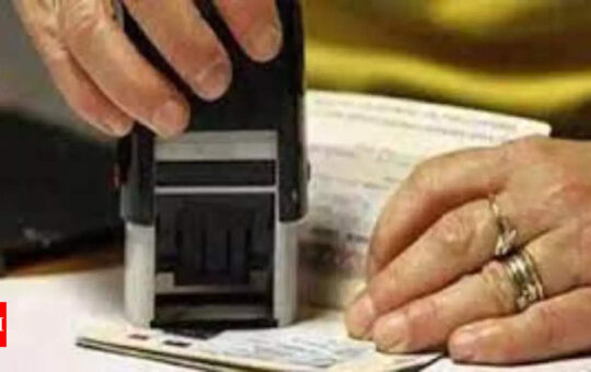 Wait time for US employer-sponsored green card rises - Times of India
