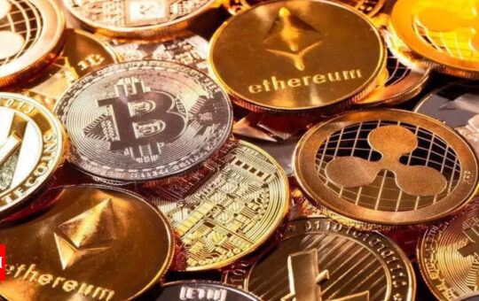 7% Indians own crypto, 7th highest globally: UN - Times of India