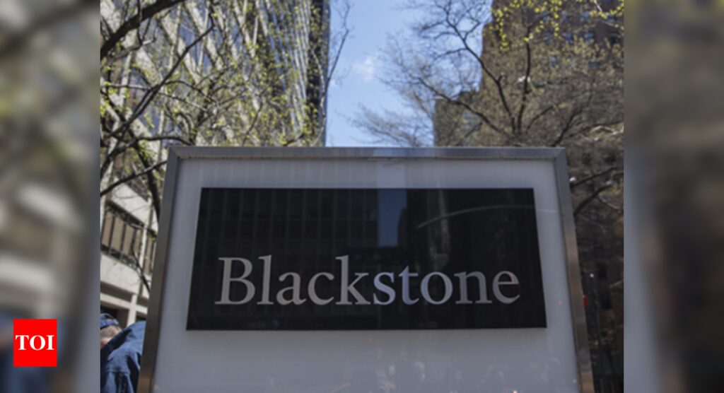 Blackstone to sell Rs 4,000 crore Sona stock - Times of India