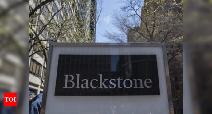 Blackstone to sell Rs 4,000 crore Sona stock - Times of India