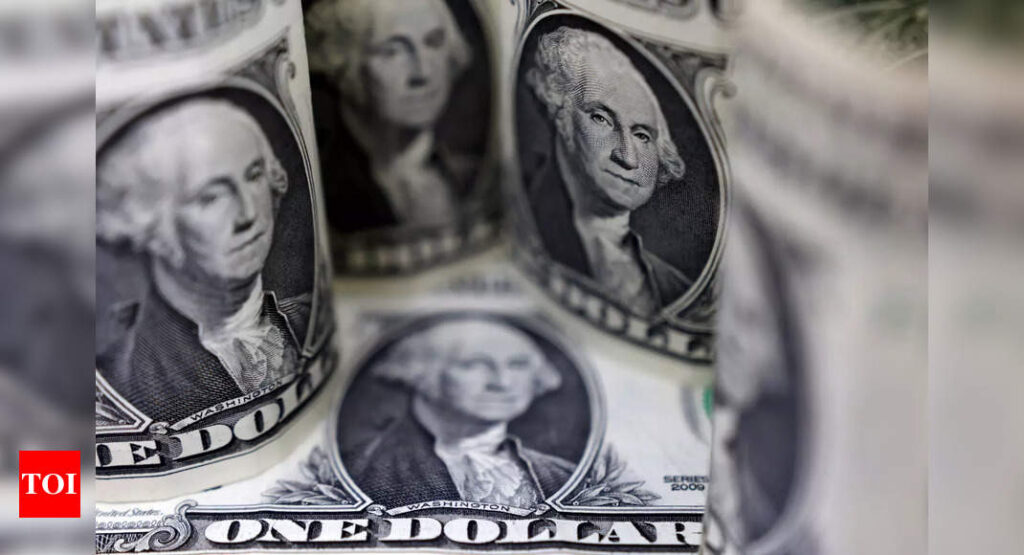 Dollar hits 20-year high as Fed flags rates higher for longer - Times of India