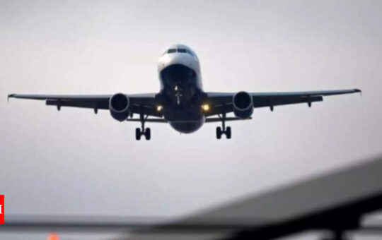 Dubai asks for more seats on India air routes - Times of India