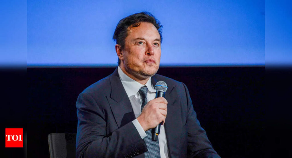 Elon Musk: World needs more oil and gas as bridge to renewables - Times of India