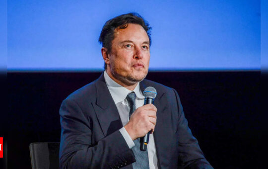 Elon Musk: World needs more oil and gas as bridge to renewables - Times of India