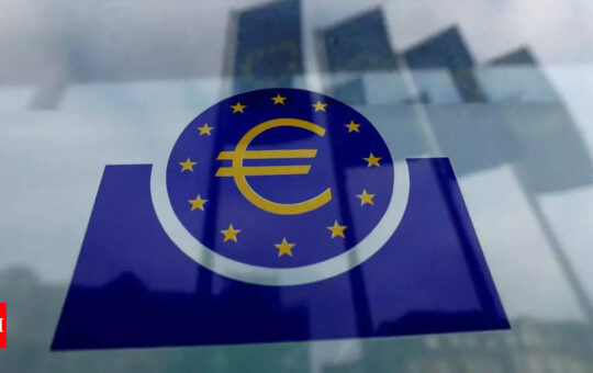Euro zone inflation hits yet another record high in August - Times of India