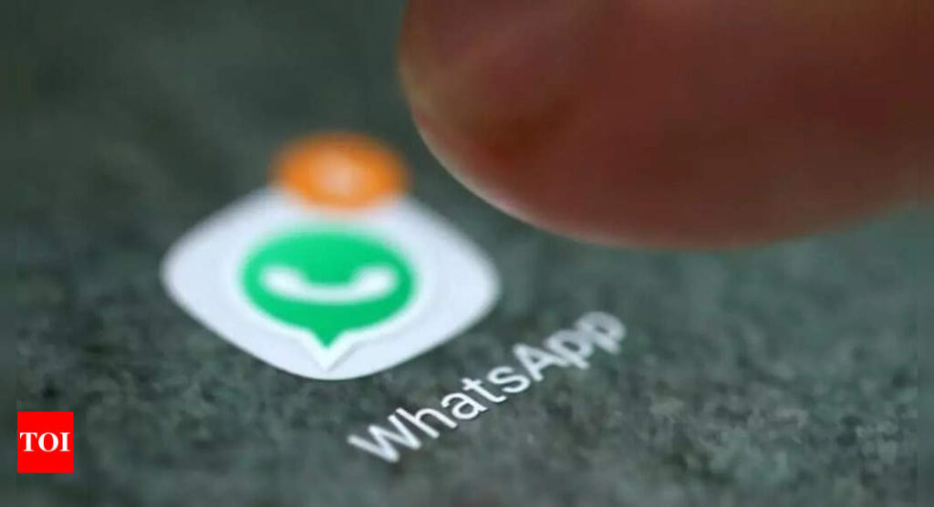 Explained: WhatsApp payments make a splash. What's next? - Times of India