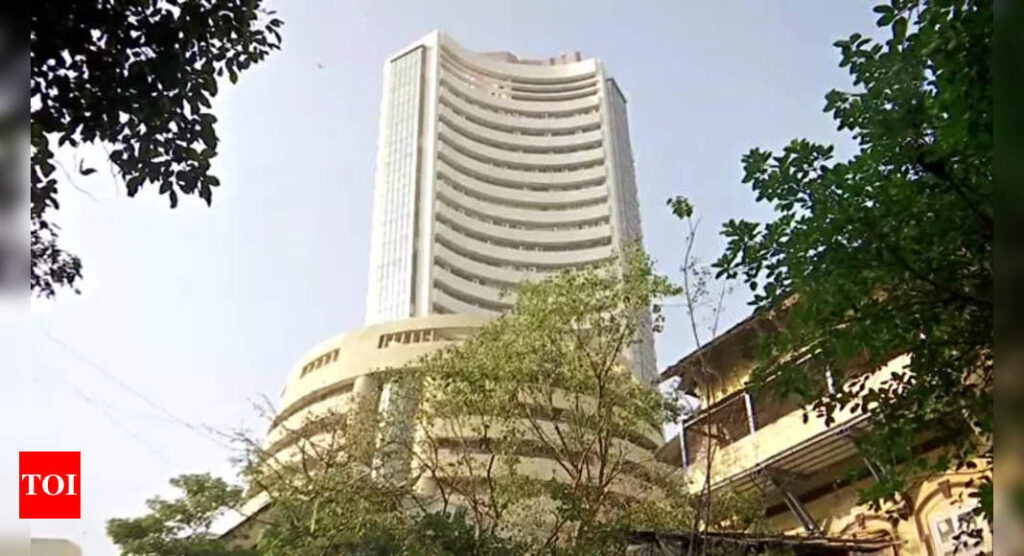 FPIs invest Rs 49,250 crore in August on strong corporate earnings - Times of India