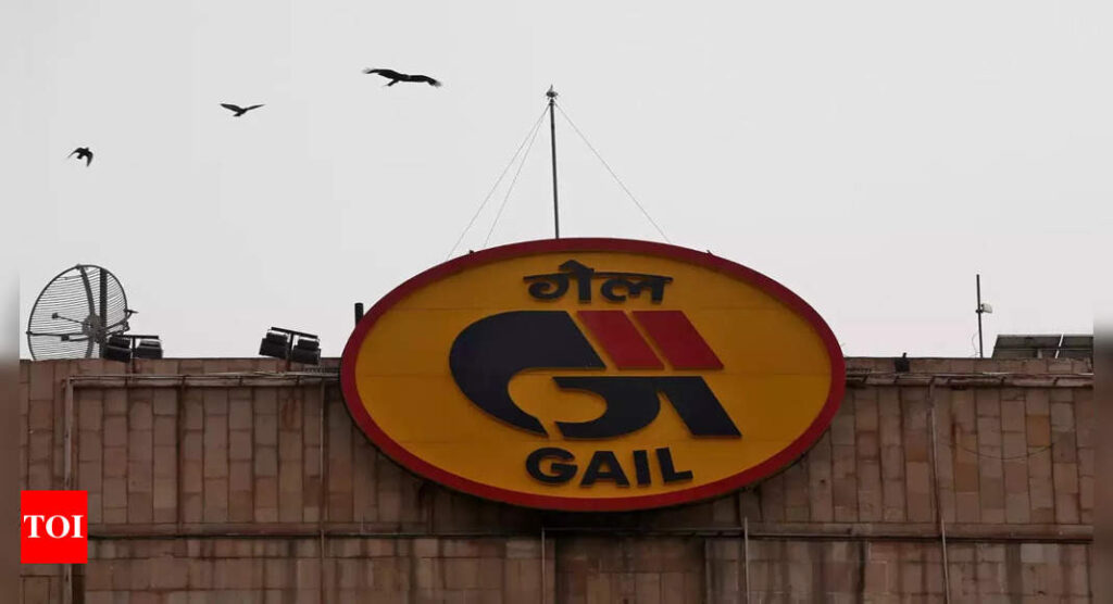 GAIL targets net zero status by 2040 - Times of India