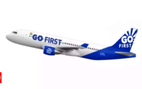 GoFirst flight returns to origin following bird hit - Times of India