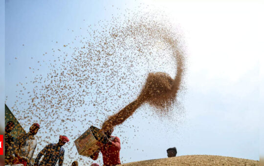 Govt refutes reports, says no plan to import wheat as sufficient stocks available - Times of India