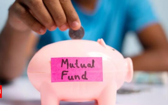 In catch-up game, LIC Mutual Fund aims to enter big boys' club in next 5 years - Times of India