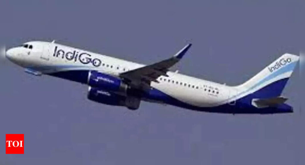 IndiGo: GoFirst car stops under nose area of parked IndiGo aircraft; no personnel hurt | India Business News - Times of India