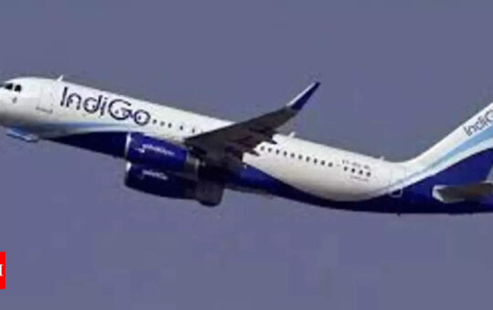 IndiGo: GoFirst car stops under nose area of parked IndiGo aircraft; no personnel hurt | India Business News - Times of India