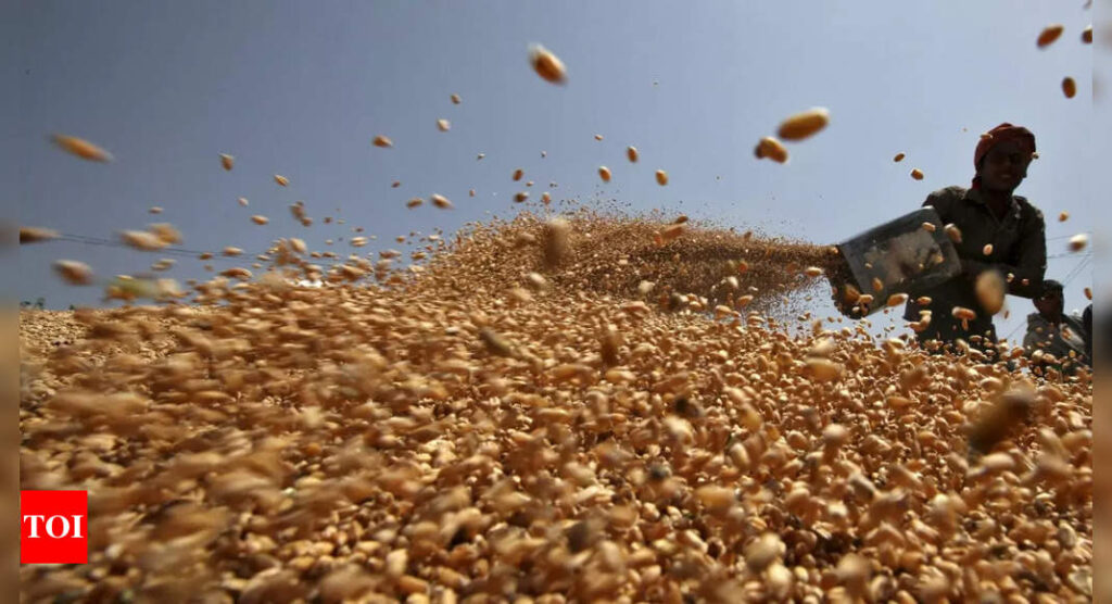 India could scrap wheat import duty to cool domestic prices, say sources - Times of India