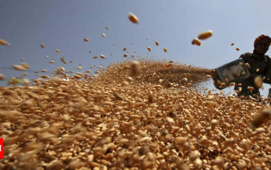 India could scrap wheat import duty to cool domestic prices, say sources - Times of India