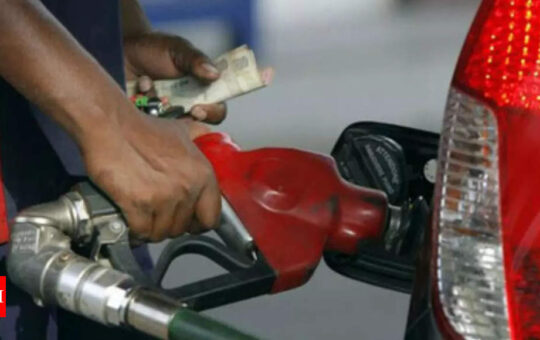 India to start supplying petrol with 20% ethanol from April 2023 - Times of India