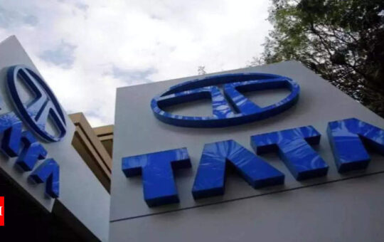 Tata Sons AGM votes to have separate chiefs for company, Trusts - Times of India
