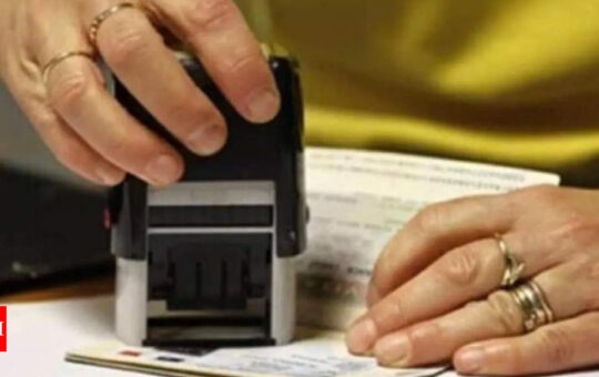US appointment delays: Several desi H-1B visa holders unable to visit home - Times of India