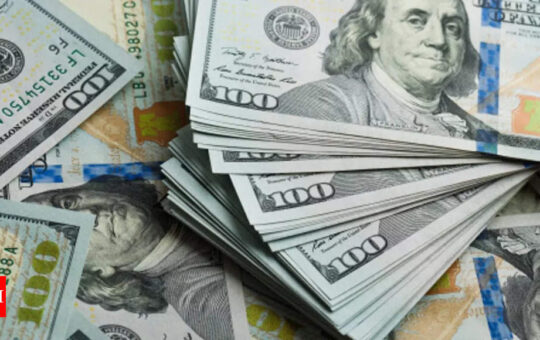 Dollar eases from 20-year high as market digests jobs report - Times of India