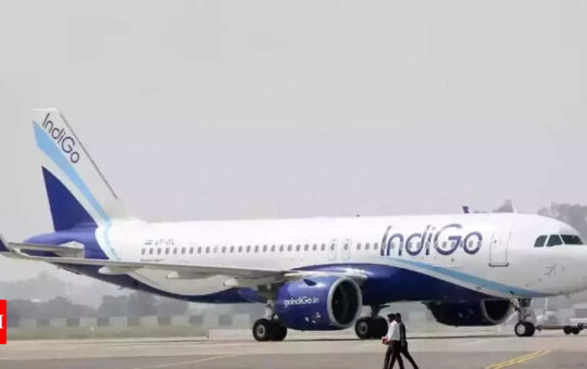 Engine vibration: IndiGo Udaipur-bound flight safely returns to Delhi - Times of India