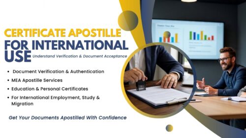 Certificate Apostille for International Use: Understanding Verification and Document Acceptance